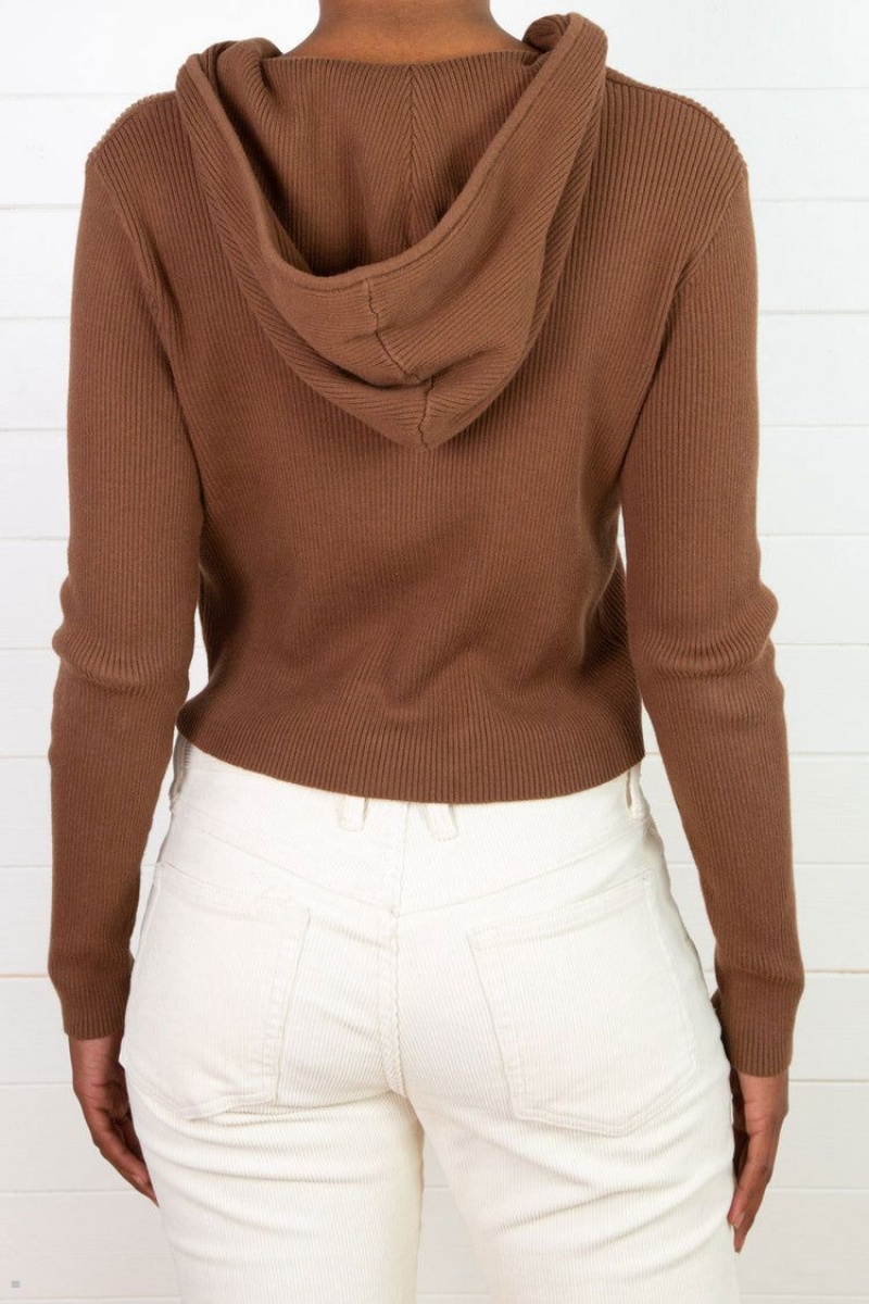 Sweat a Capuche Brandy Melville Arden Crop Marron | KIP-78696768